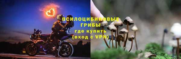 хмурый Горняк