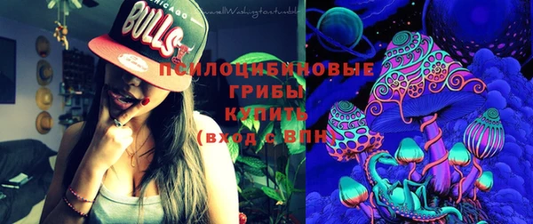 прущий лед Горно-Алтайск
